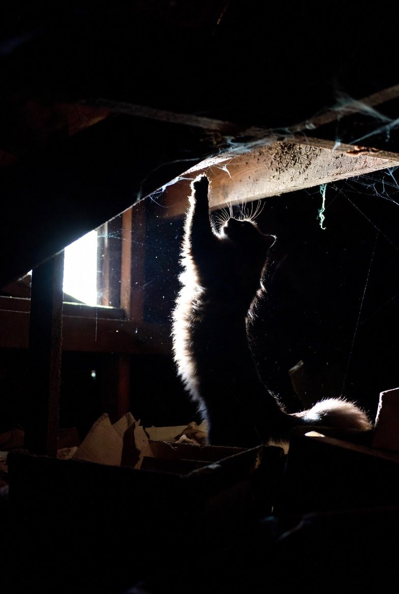 Roof vent screen installation