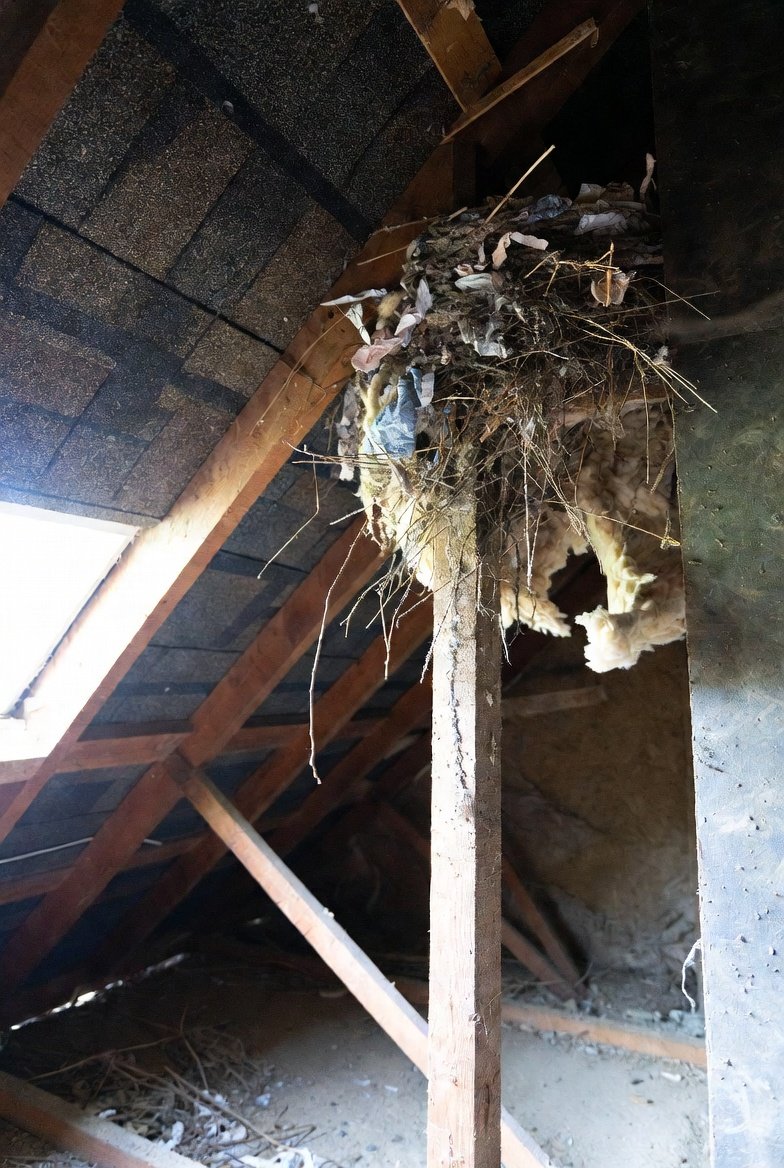 Do NOT Seal Entry Points Too Early